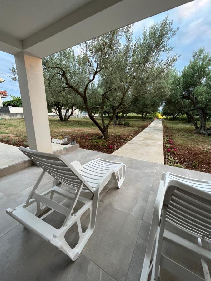 Apartman Oliva 扎达尔 外观 照片