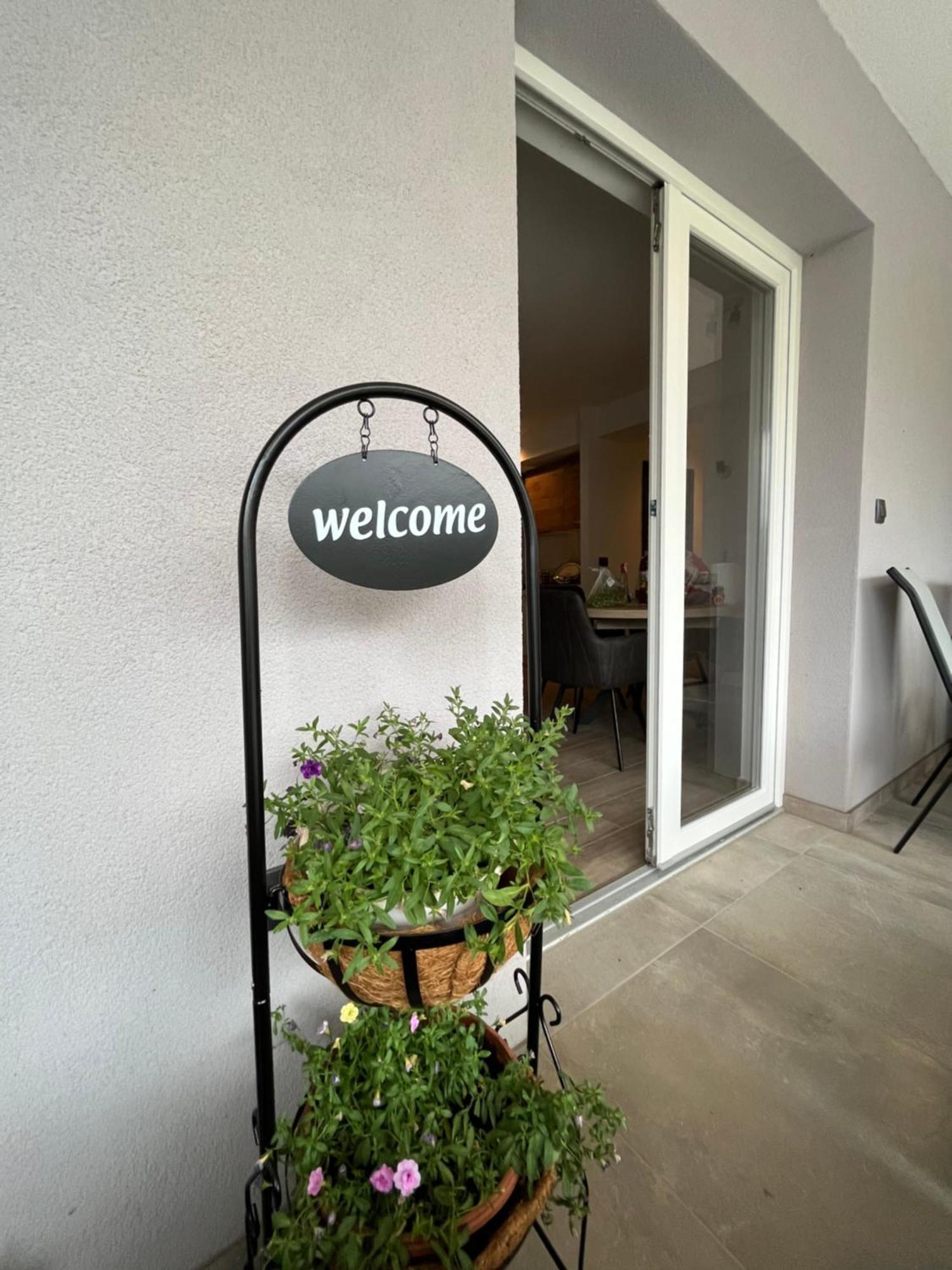 Apartman Oliva 扎达尔 外观 照片